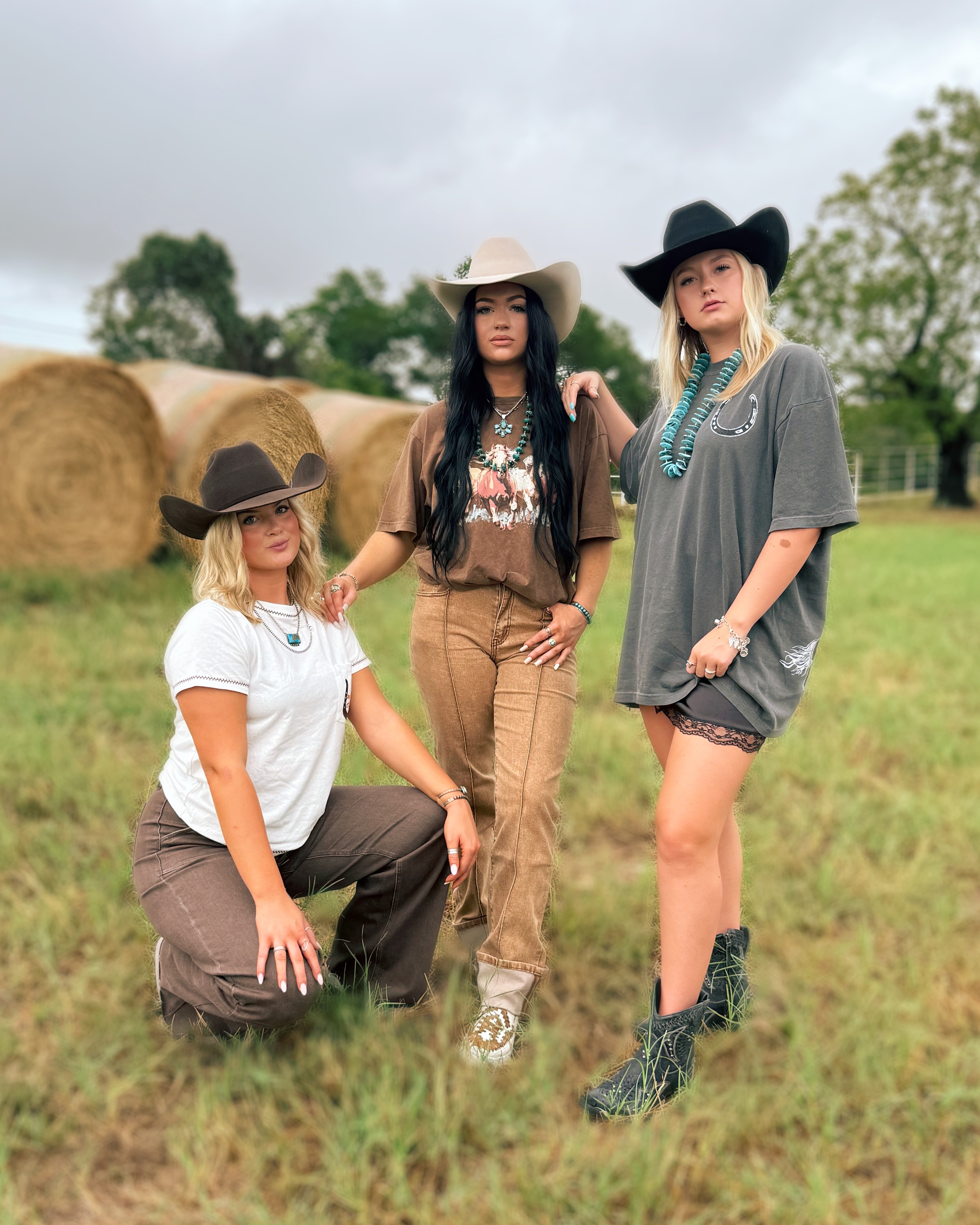 Horses Wild