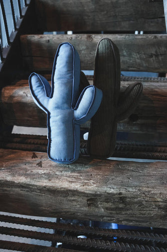 Kick A Cactus Pillow
